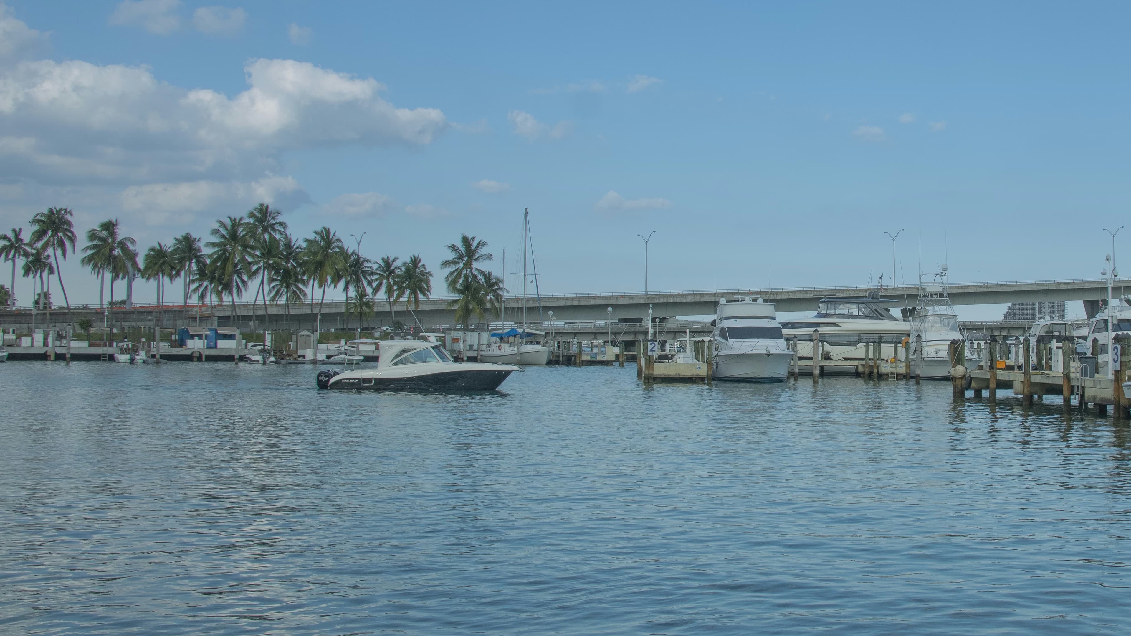 Yachts tied up along the docks of a Miami marina, royal palms and the causeway behind